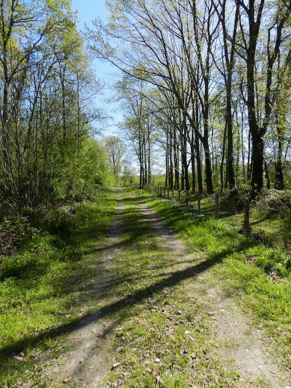 B&B Le Bois De Champia Huy Dış mekan fotoğraf