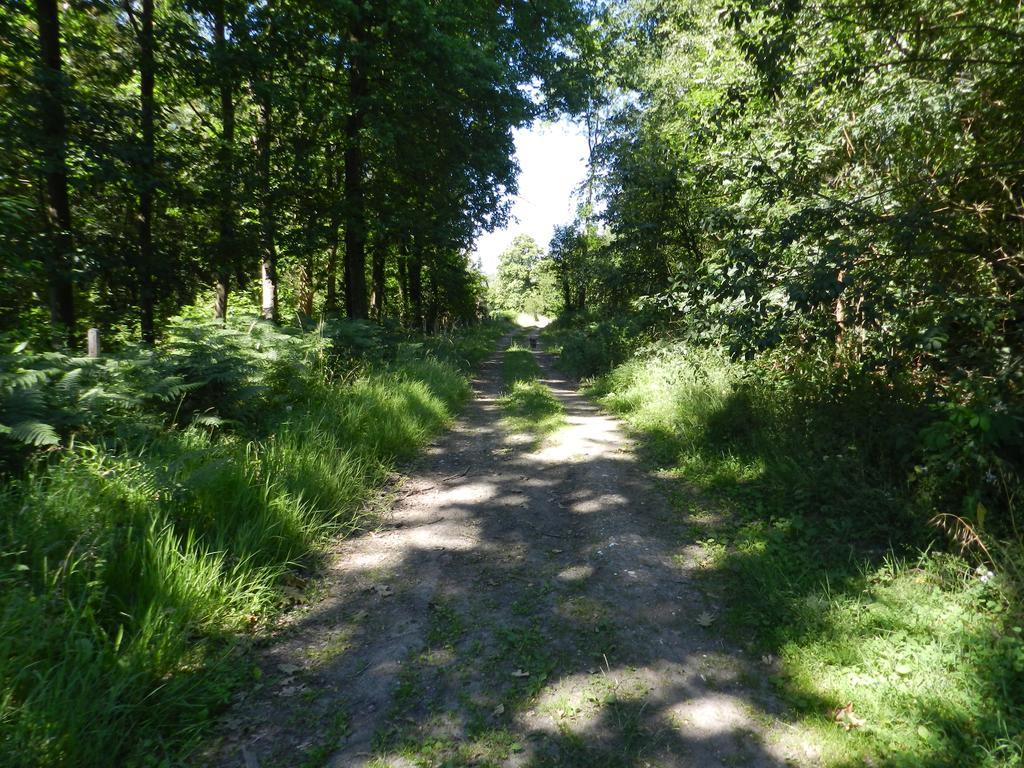 B&B Le Bois De Champia Huy Dış mekan fotoğraf