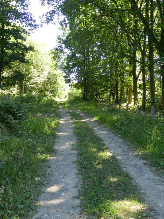 B&B Le Bois De Champia Huy Dış mekan fotoğraf